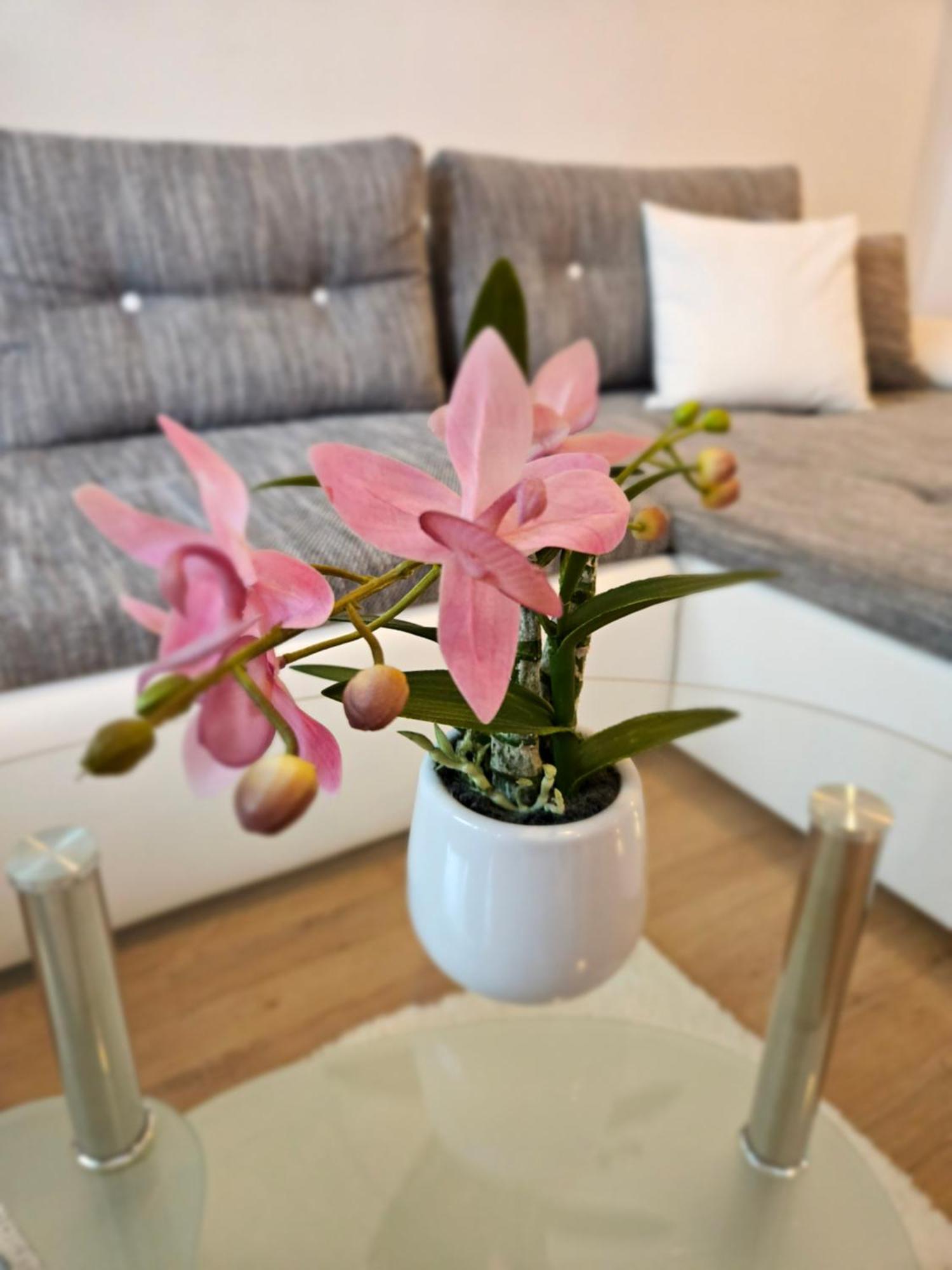 Apartment Zoya Kranjska Gora Esterno foto